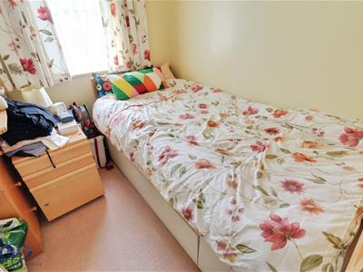 Picture 24